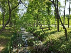 -黄海国家森林公园