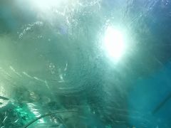-海合安武汉极地海洋公园
