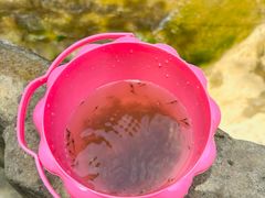 -华蓥山天意谷景区