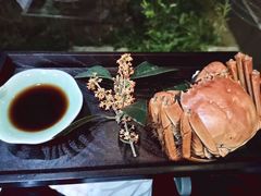 -乾园.魏庐湖景餐厅(花港店)