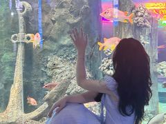 -福州罗源湾海洋世界旅游区
