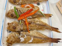 -五谷芳乳鸽王(梅沙老店)