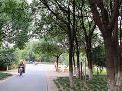 -自然谷恐龙园