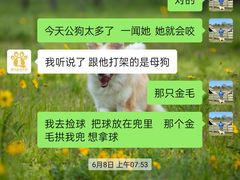 -趣玩宠物乐园寄养训犬训狗游泳池