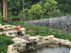 -都江堰中华大熊猫苑