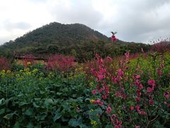 -广州市石门国家森林公园