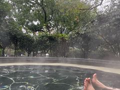 -东海森林温泉度假酒店