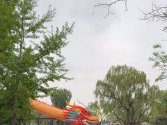 -同和居(什刹海店)