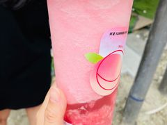 树夏水蜜桃-树夏(建设路店)
