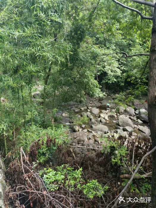 雅鲁激流探险漂流图片