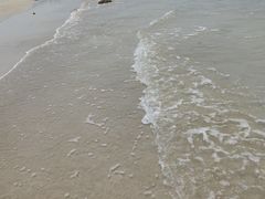 -贝壳沙滩