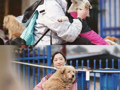 -成都爱之家动物救助中心