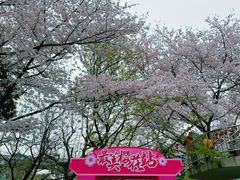-南浦大桥长途旅游客运站