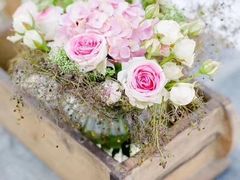 -Jo's Garden