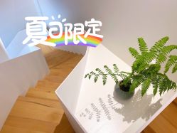 -茉本spa美肌社