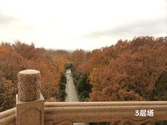 -灵谷景区