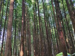 -山王坪喀斯特国家生态公园