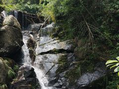 -安吉龙王山风景区