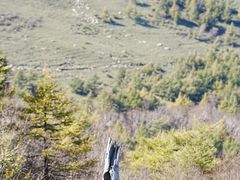 -灵山