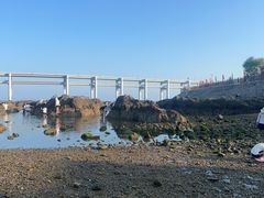 -黑石礁公园