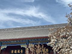 -天津大悲禅院
