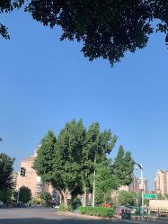 -韩美绣野生眉纹眉洗眉连锁店