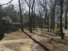 -元大都城垣遗址公园