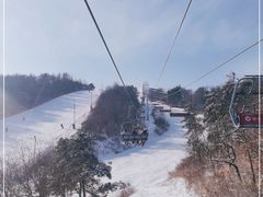 -东北亚滑雪场