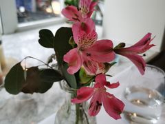 -蝶舍·MAISON PAPILLON