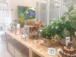 -dōTERRA多特瑞精油生活馆