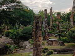 -深圳仙湖植物园