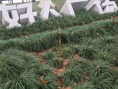 -昆山城市生态森林公园