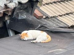 -前叁門