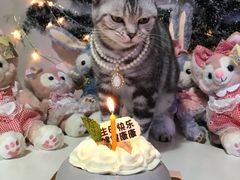 -黑池口感烘焙·生日蛋糕(坂田店)