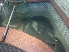 -丽江人家斑鱼火锅(保健路店)