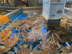 -盒马鲜生(悦峰店)