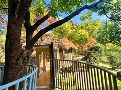 -宁波儿童公园(鄞州区)