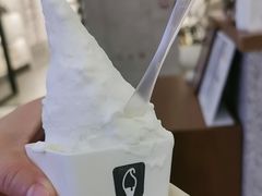 -野人先生Gelato(上海长宁龙之梦店)
