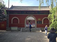 -白洋淀景区