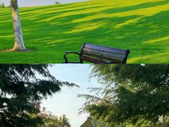 -合肥滨湖国家森林公园