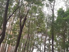 -东湖落雁景区