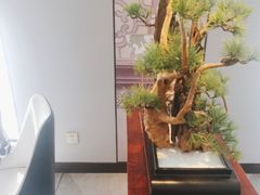 -顺峰(农展馆店)