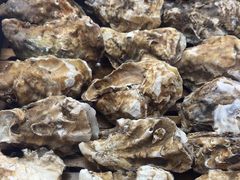 -东北小板凳地摊烧烤(泰来街店)