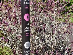 -墨尔本皇家植物园