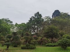 -南宁花花大世界景区