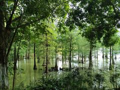 -南宁花花大世界景区