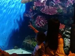 -暹罗海洋世界