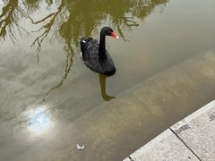 -沈阳植物园