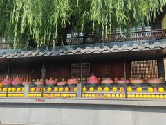 -峨眉山报国寺