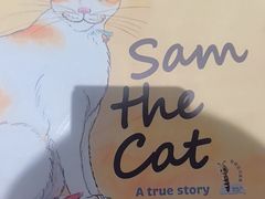 -安妮花英语·少儿·原版阅读(青岛远洋中心馆店)